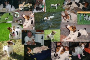 Jacky 12 Jahre