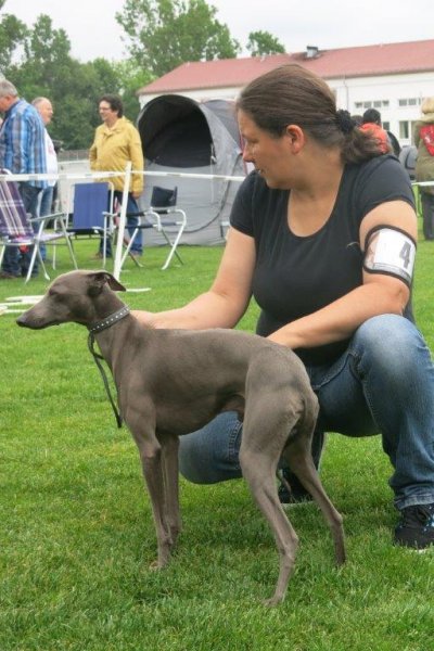IMG_1337 (2)