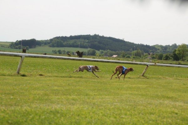 Krenglbach 20052012 001 (133)